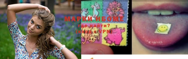 гидра Приозерск