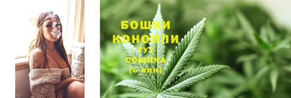 дмт Протвино