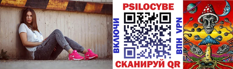 Купить закладки  Каргат  Галлюциногенные грибы мухоморы 