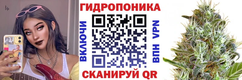 Купить закладки  Каргат  Бошки марихуана марихуана 